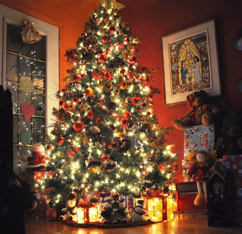 SPARKLING LIGHTS ON A CHRISTMAS TREE